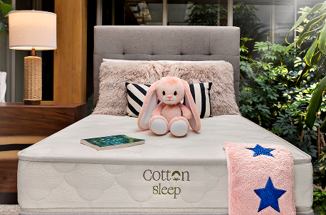 Organic Kids Mattress